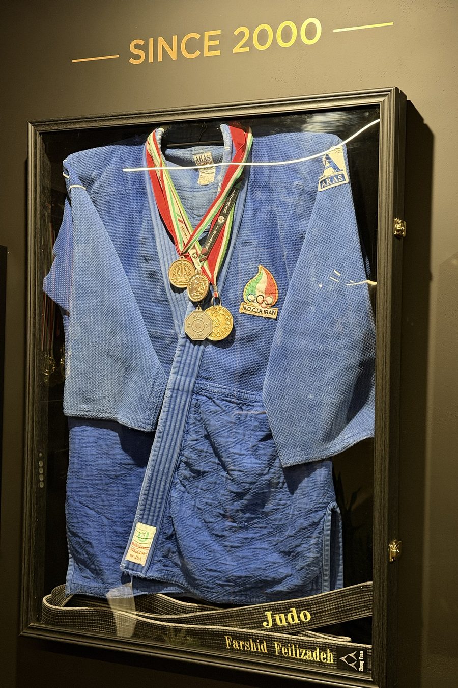 Farshid Feilizadeh's judo gi and medals, framed, marked Since 2000